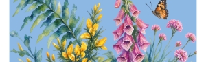 Obradoiros mensuais de acuarela naturalista