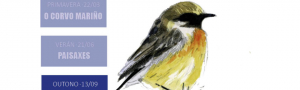 Iniciación á Pintura con Acuarela das Aves e Paisaxes da Costa de Dexo: edición outono