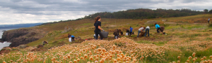 Restaurando Territorios. Capacitación para unha transición xusta