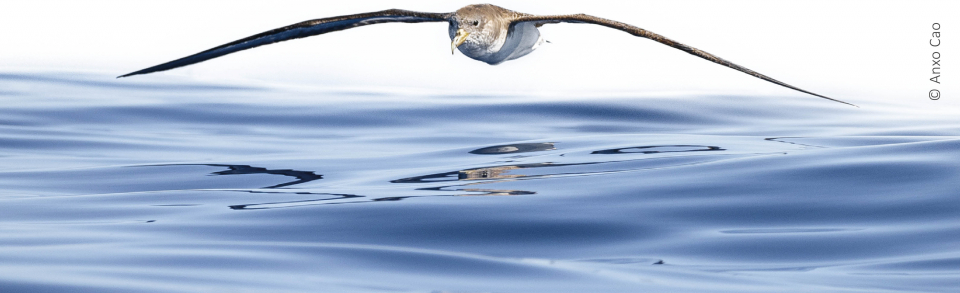 Curso de Iniciación á Fotografía de Natureza
