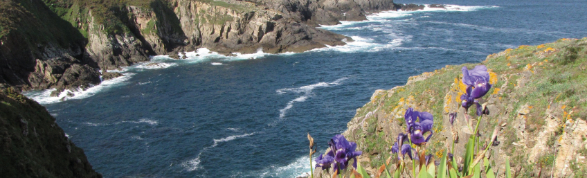 Xornadas sobre o Monumento Natural Costa de Dexo-Serantes