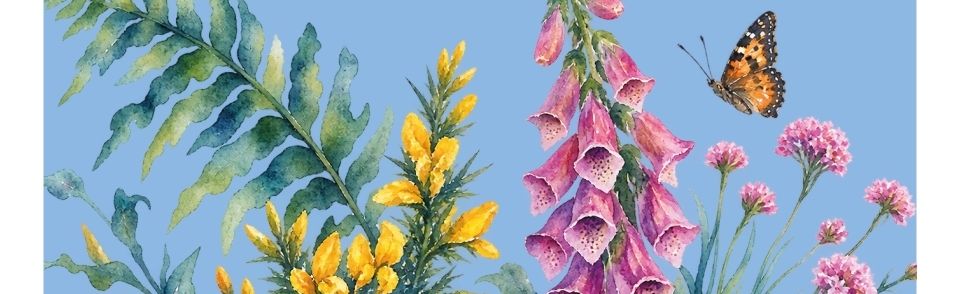 Obradoiros mensuais de acuarela naturalista