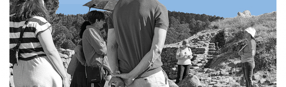 Curso Online Avanzado de Interpretación do Patrimonio: Deseño de Visitas Guiadas Interpretativas