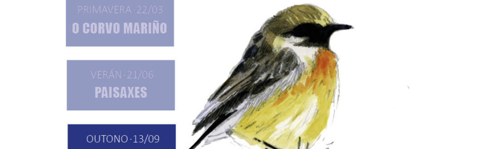 Iniciación á Pintura con Acuarela das Aves e Paisaxes da Costa de Dexo: edición outono