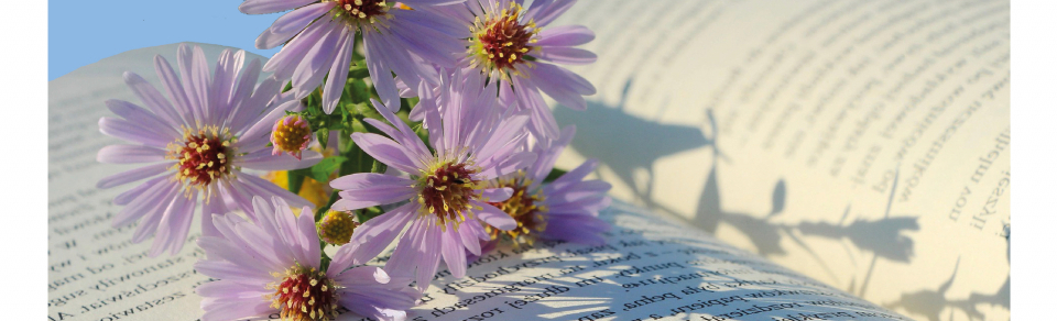 Obradoiro Poesía e Natureza. 'Árbores en pé. O poema que se alza'
