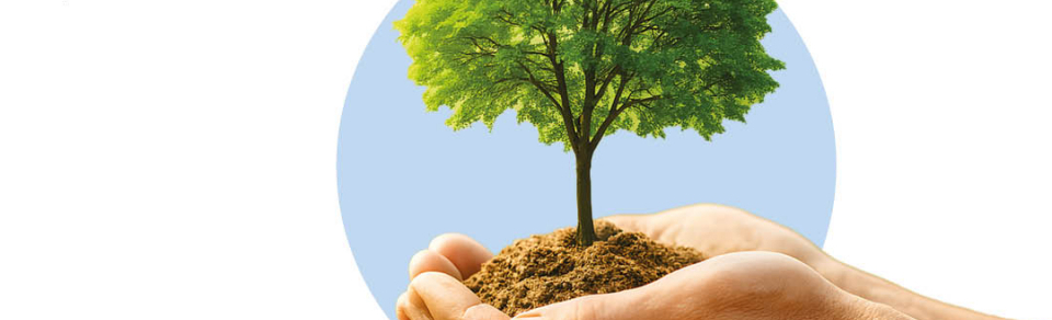 Xornada 'O novo regulamento da UE sobre a Restauración da Natureza de 2024: un diálogo interdisciplinar'