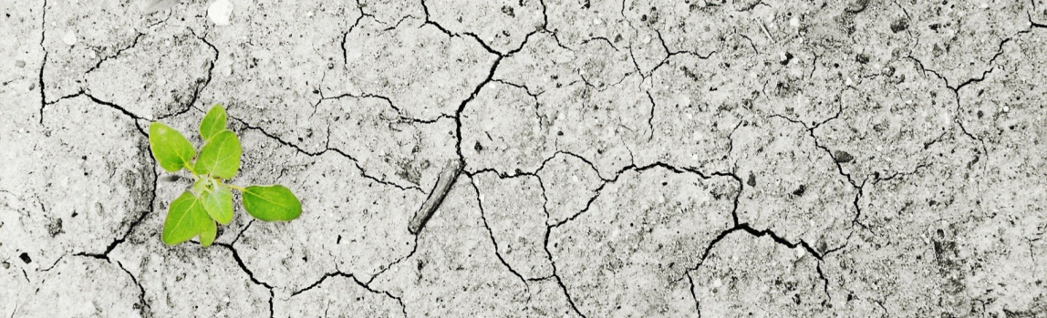 Afronta o Reto: Loita contra a Emerxencia Climática 