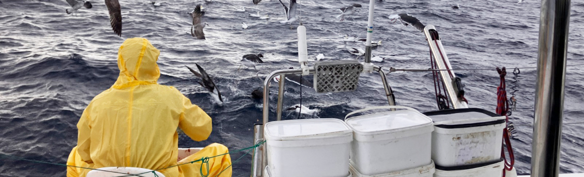 NORAVES II. Ecoloxía trófica e mortalidade accidental de aves mariñas na ZEPA Corredor Migratorio Galaico-Cantábrico Occidental e a súa relación coa actividade e o recurso pesqueiro