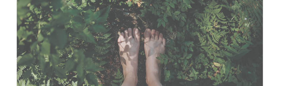 Xornada  Natureza e Benestar 