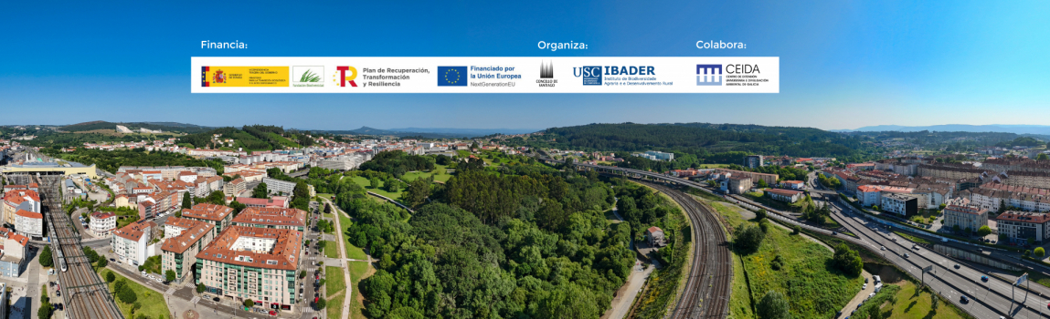 Ciclo de conferencias online: Entre Sar e Sarela